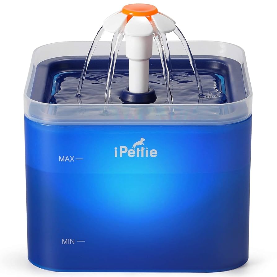 Amazon.com : iPettie Neverland Cat Water Fountain with LED